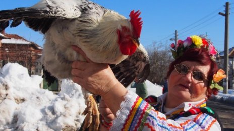 Църквата чества Вълча Богородица, народът - Петльовден