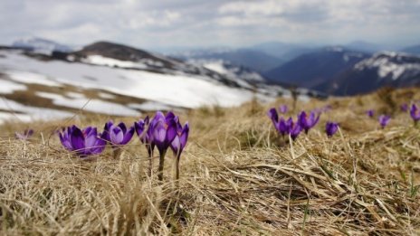 Какво ще е времето през капризния март? По-хладно от обичайното 