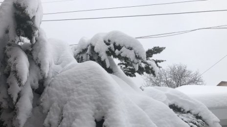 Сняг, вятър и преспи, села без ток в Русенско