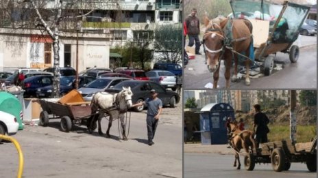 Патриотите в СОС: Конете на ромите – в "Екоравновесие"