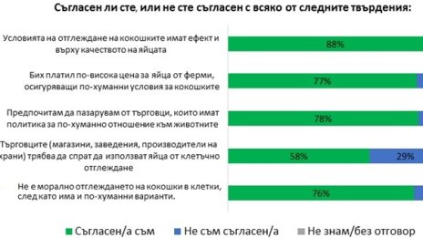 Българинът иска домашни яйца и хуманно отношение към кокошките