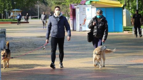 Софиянци осиновяват кучета от приюти, за да се разхождат