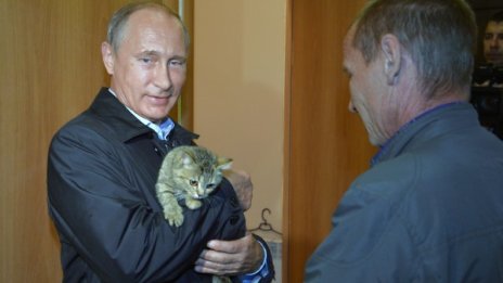 Котката, която Путин подари на Сатаке, е под карантина