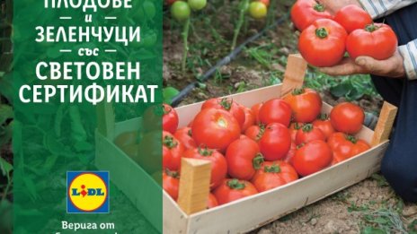 В подкрепа на родното производство LIDL предлага 100% български розови домати и био краставици в цялата верига магазини