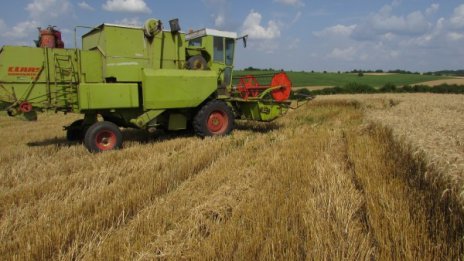 Ще се върне ли българинът към село заради коронавируса?