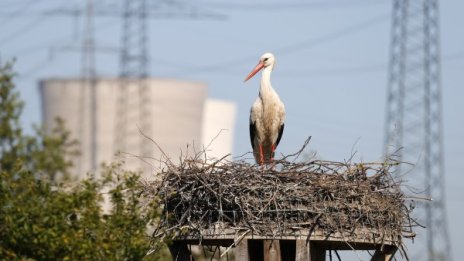 Денят в снимки - 7 май