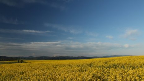 Денят в снимки - 14 май