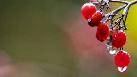 Започва захлаждане с облаци и на места дъжд