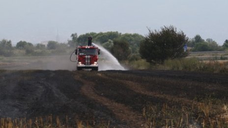 70 декара пшеница изгоряха при пожар в Силистренско