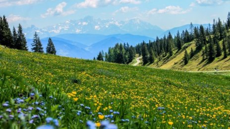 Въпреки коронавируса  летният сезон в Пампорово започва 