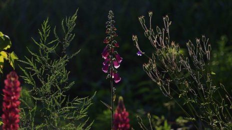 Слънчево и топло във вторник, градусите до 29°C