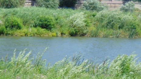 Взеха нови проби от водата в р. Марица