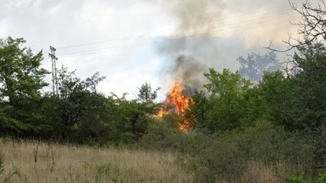 20 пожара горят в област Хасково 