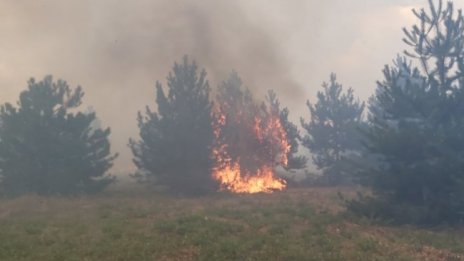 Нов пожар – огнеборци гасят в шуменския квартал Дивдядово