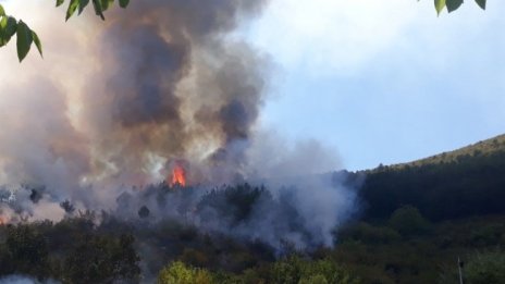 Гасят на ръка пожара над Карлово