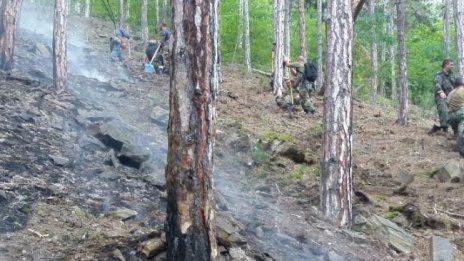 Николов: Положението с пожарите в страната е почти овладяно