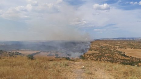 Пожарите от последните дни вече са под контрол