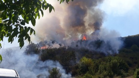 Пожарът край Девин вече е локализиран 