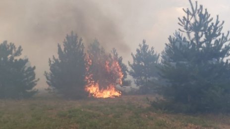 Три пожара бушуват в Хасковска област 