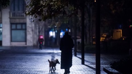 Сама, без багаж и в кръв... Мистериозната Мария в с. Калугерово