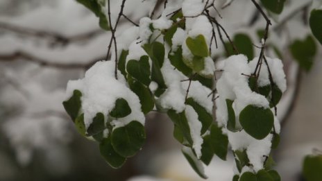 Иде топла зима: 15° за Никулден, без сняг за Коледа