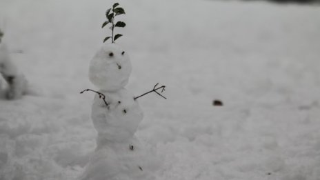 Денят в снимки - 1 декември