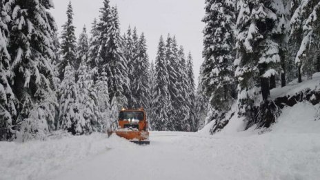 Време ли е за ски? 20 см сняг наваля в Пампорово