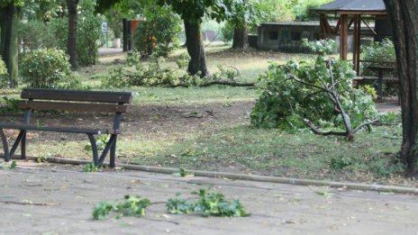 Паднали огради и клони след силния вятър в София