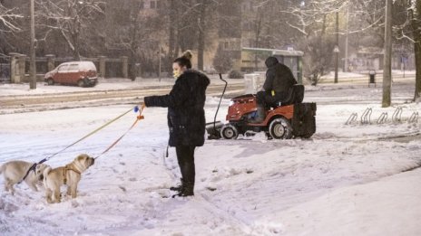 Денят в снимки - 13 януари