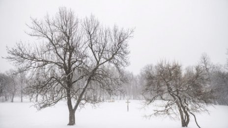 Метеоролози: Пролетта в Европа ще закъснее