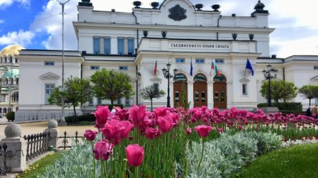 Депутати на Слави дойдоха заедно, влязоха през парадния вход