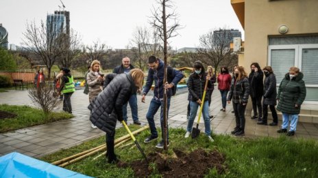 Над 1000 дървета ще бъдат засадени в градини и училища в София