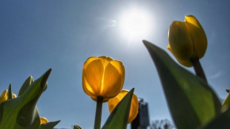 Топло и слънчево време на Великден, градусите до 29°C