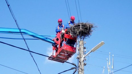 Сигнализират за стълбове със стърчащи жици до училище 