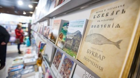 Кимчи, ваканцувам – 9000 нови думи навлезли в българския език 