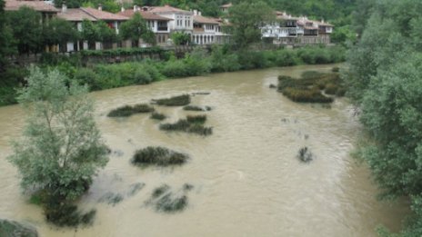 БАБХ: Прасетата в Янтра не са били болни от чума