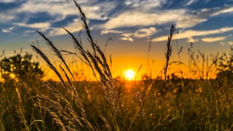 Опасни горещини ни очакват в четвъртък 