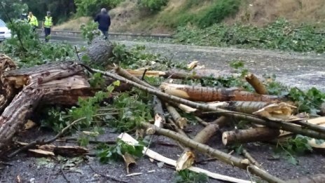 Мощна буря удари и Перник в късния следобед 