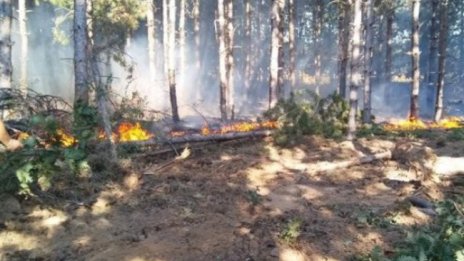 Ден след потушаването на огъня, Сакар планина отново е в пламъци