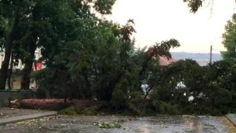 Мъж загина при бурята в Ботевградско, покосен от токов удар