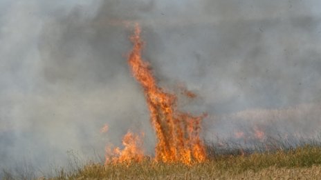 Жегата удари и България: Пожари в Стара Планина и в гората над Перник 