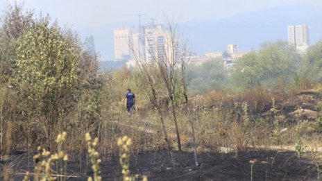 Голям пожар до мол в София, горяха треви и коли