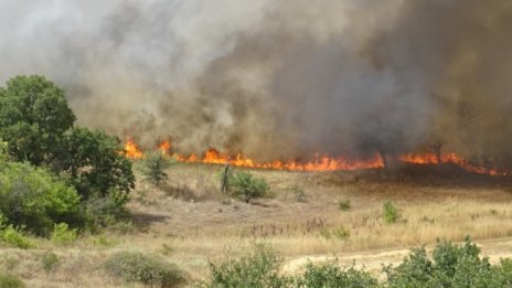 Пожарът в Долно село е напълно овладян