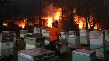 Разраства се пожарът в Атина, хиляди се евакуират