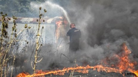 Забраняват косенето и почистването на пасища за 2 седмици 