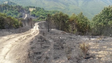 Спрян е пожарът край Сандански