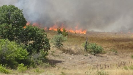 Нов пожар избухна край Велинград