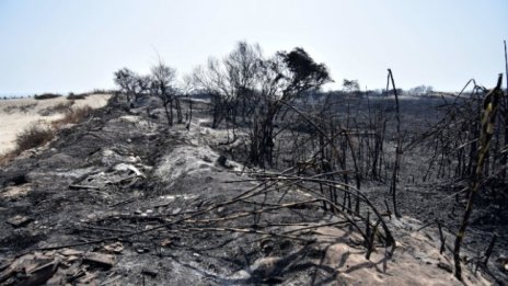 Обявиха извънредно положение в Сицилия заради пожарите