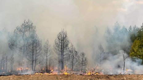 Локализираха пожара над град Баня