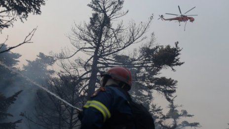 Пожар горя в горски масив в близост до Хисаря